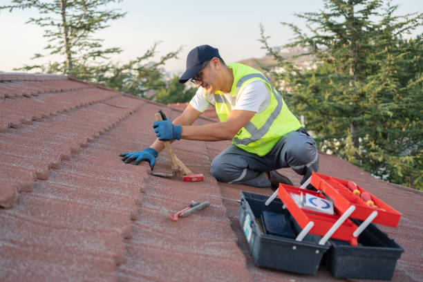 Best Roof Gutter Cleaning  in Wildwood, FL